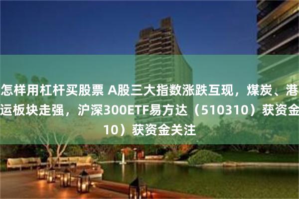 怎样用杠杆买股票 A股三大指数涨跌互现，煤炭、港口航运板块走强，沪深300ETF易方达（510310）获资金关注