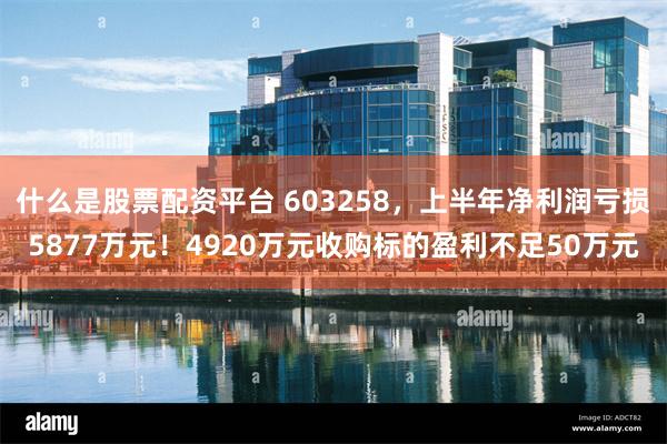 什么是股票配资平台 603258，上半年净利润亏损5877万元！4920万元收购标的盈利不足50万元
