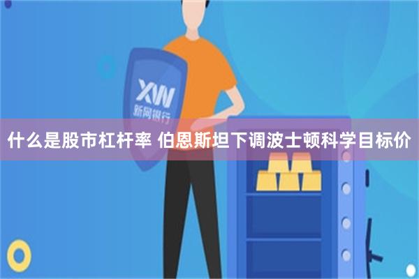 什么是股市杠杆率 伯恩斯坦下调波士顿科学目标价