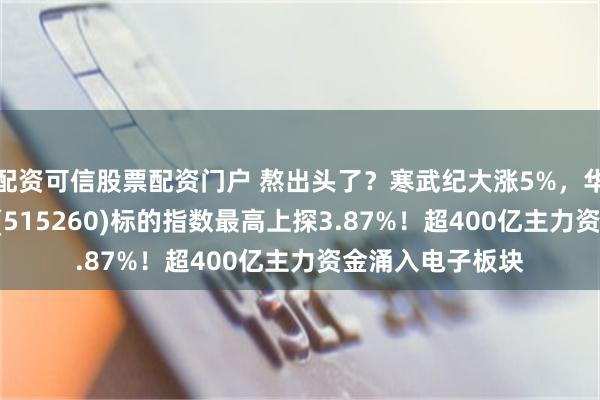 配资可信股票配资门户 熬出头了？寒武纪大涨5%，华宝基金电子ETF(515260)标的指数最高上探3.87%！超400亿主力资金涌入电子板块
